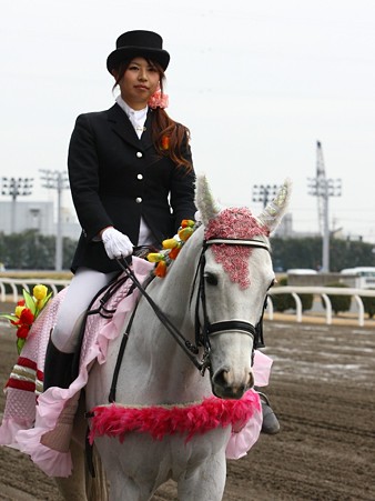 川崎競馬の誘導馬０３月開催　チューリップＶｅｒ-120301-09