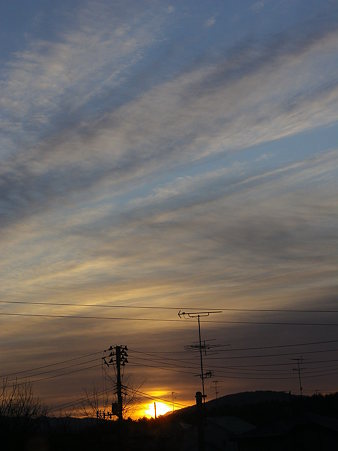 IMGP0009