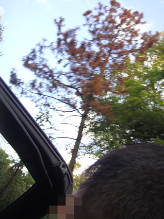 2011/11 讃岐うどんツアー-38