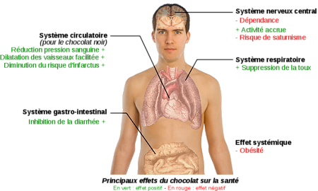 800px-Effets_du_chocolat_sur_la_santé.svg