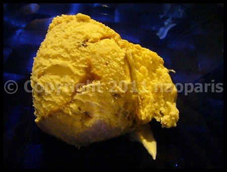 P2750481
