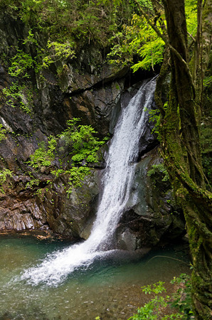 大下滝　2012.5.7-1
