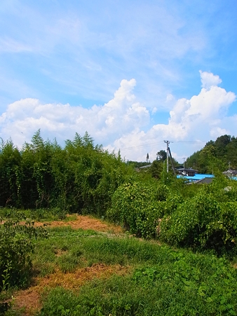 R0015395