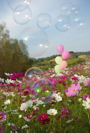 IMGP7487_1012