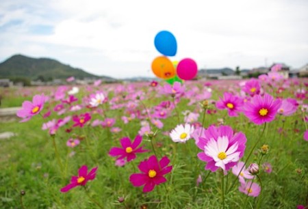 IMGP8830_1029