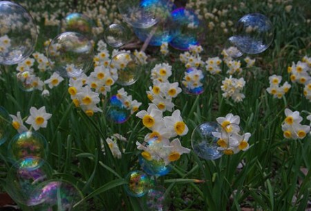 IMGP9100_0325