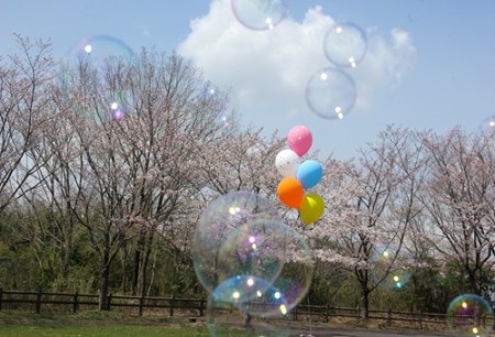 IMGP0070_0407