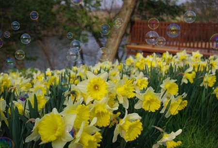 IMGP1429_0408b