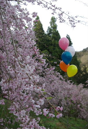 IMGP0023_0415