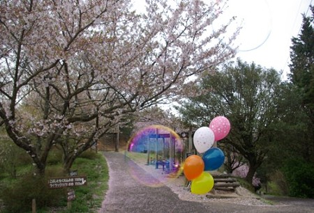 IMGP0120_0415