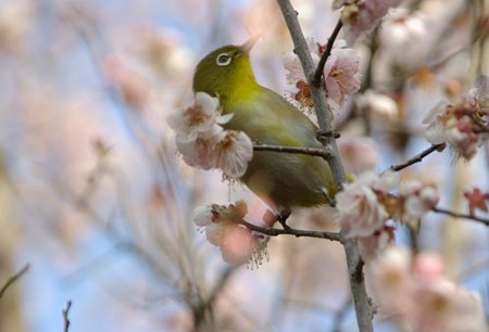 IMGP8785_0814