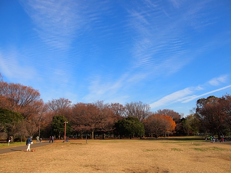 PC107809