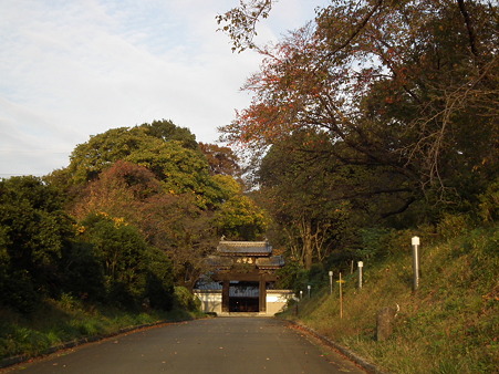 散歩 079