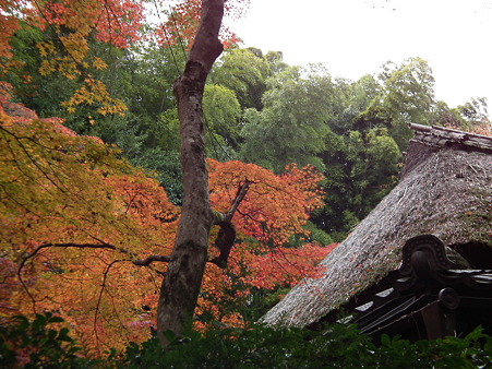 京都 178