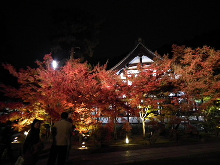 京都 923