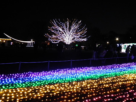 昭和記念公園 127