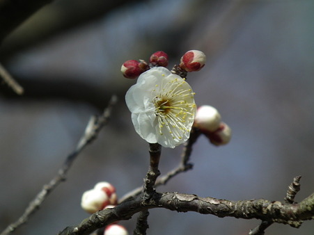 DSCF0149