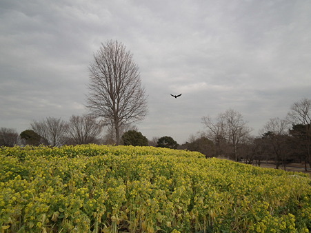 DSCF0548