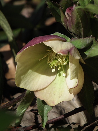 DSCF0034