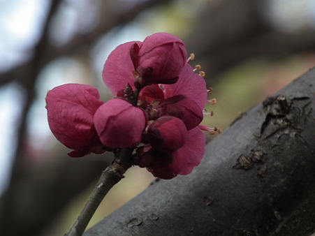 DSCF0260
