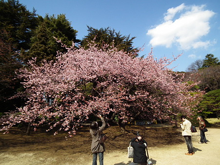 DSCF0465