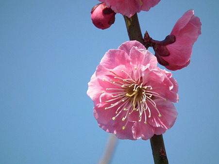 DSCF0142