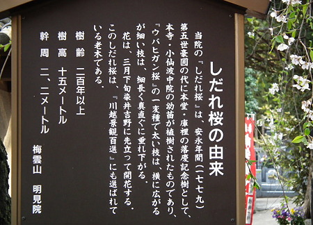 DSCF1020