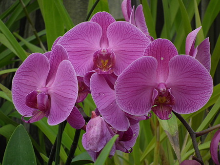 DSCF0414