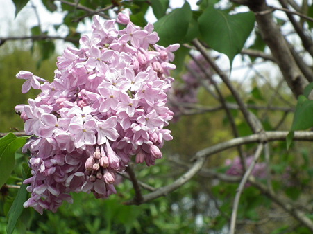 DSCF0254