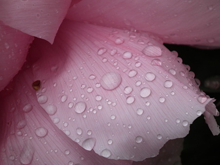 DSCF0180