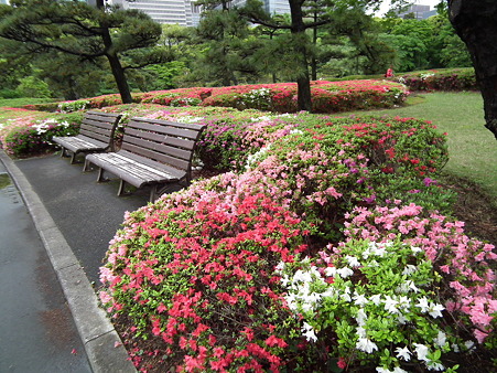 DSCF0034