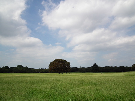 昭和記念公園 168