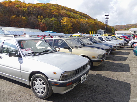 IMGP2505