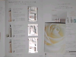 ファンケルのサンプル