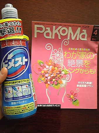 ドメスト_01