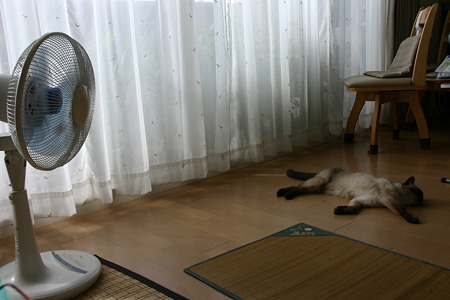 な~るほど…