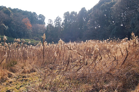 2012年01月09日_DSC_0484長岳寺風景