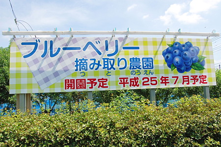 2011年08月07日_DSC_0998