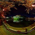 2012年4月8日　船越堤公園　夜桜　360度パノラマ写真
