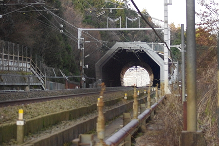 IMGP5593