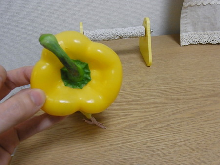 2011/1/19 パプリカと足・・・
