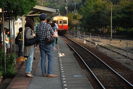 2011/09/24 養老渓谷駅 駅猫