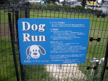 DSCN0895