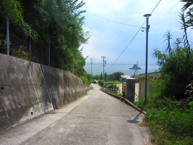 篠島中学校横のみち