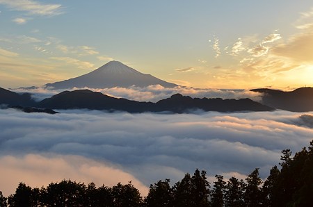 R_DSC_2932