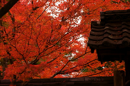 4金福寺2