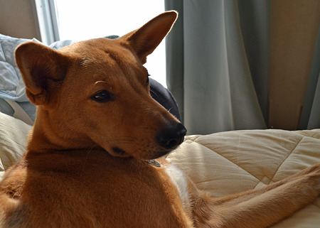 DSC_0382_b
