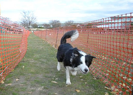 2011_12_23_2