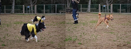 20120307_2