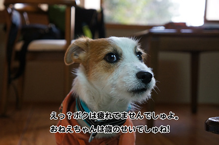 DSC01152_org